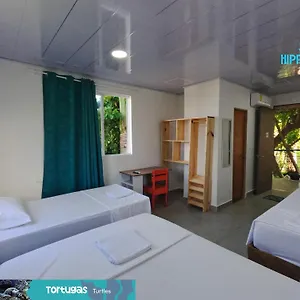 Sukha Hippocampus Isla San Andrés
